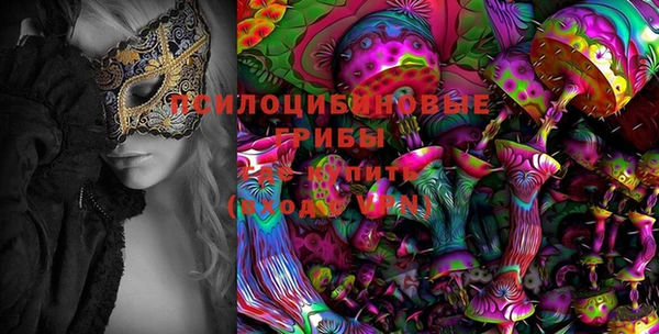 бутират Алексин