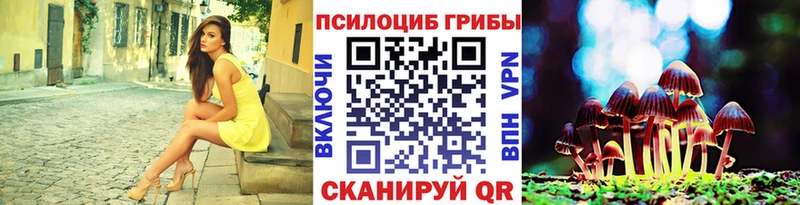 купить  цена  Опочка  кракен ссылки  Псилоцибиновые грибы ЛСД 
